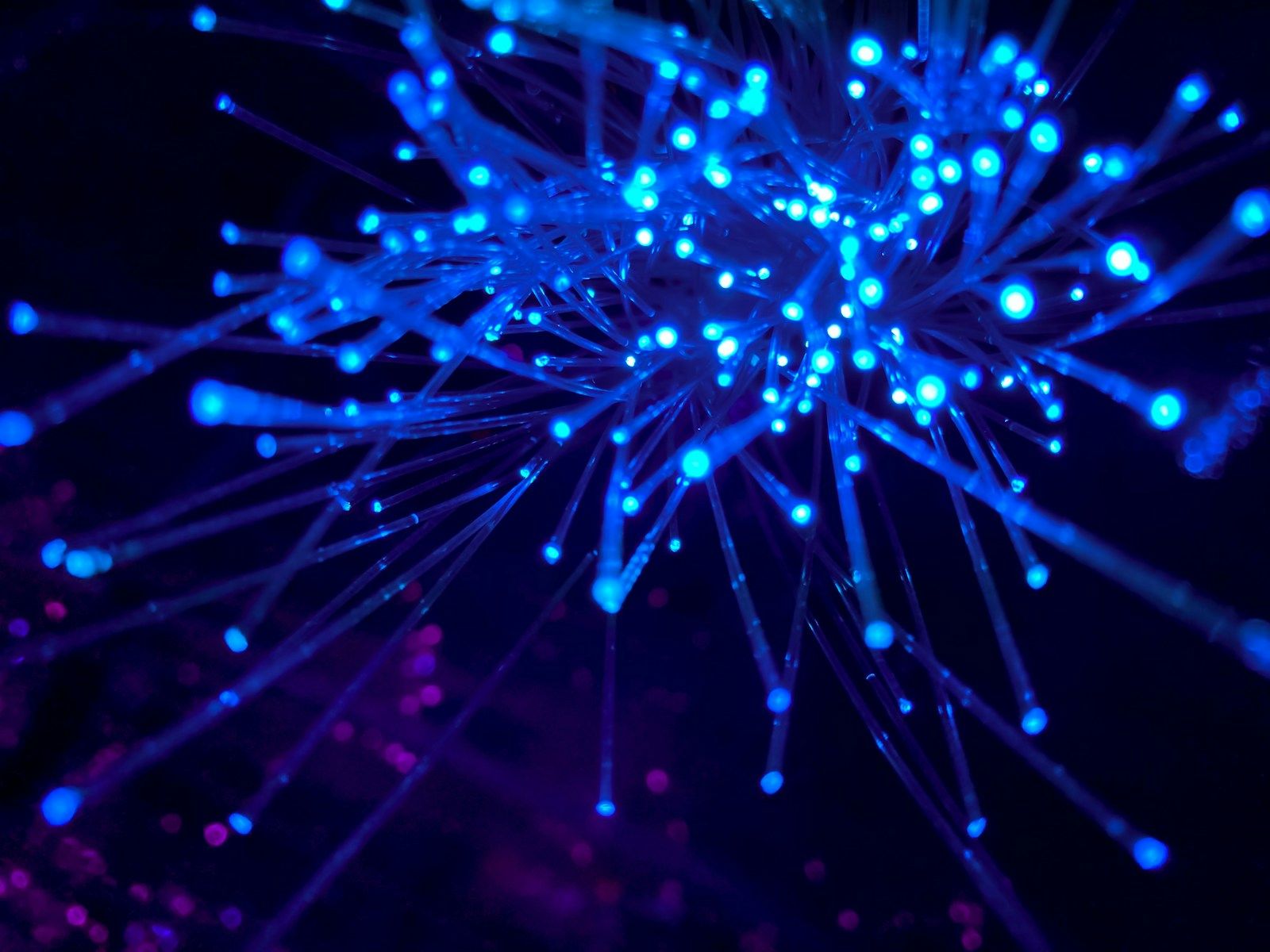 Fibras ópticas iluminadas en azul sobre fondo oscuro, evocando la inteligencia artificial